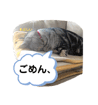 pino watanabe（個別スタンプ：2）