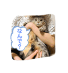 pino watanabe（個別スタンプ：5）