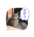 pino watanabe（個別スタンプ：7）