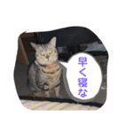 pino watanabe（個別スタンプ：9）