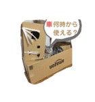 pino watanabe（個別スタンプ：13）
