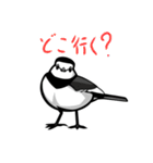 日常使い日本の野鳥（個別スタンプ：21）