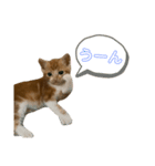 ちくわ大臣2（個別スタンプ：2）
