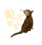 ちくわ大臣2（個別スタンプ：5）