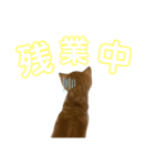 ちくわ大臣2（個別スタンプ：6）