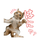 ちくわ大臣2（個別スタンプ：8）