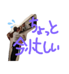 イデニキ2（個別スタンプ：7）