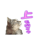 ロンのひとこと2（個別スタンプ：12）
