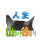 ロンのひとこと2（個別スタンプ：13）
