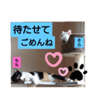 そらもも団5（個別スタンプ：2）