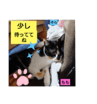 そらもも団5（個別スタンプ：6）