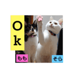 そらもも団5（個別スタンプ：9）