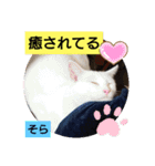 そらもも団5（個別スタンプ：10）