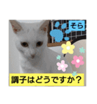 そらもも団5（個別スタンプ：14）