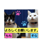そらもも団5（個別スタンプ：15）