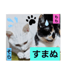 そらもも団5（個別スタンプ：17）