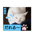 そらもも団5（個別スタンプ：19）