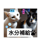 そらもも団5（個別スタンプ：21）