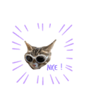 もふとポージー（個別スタンプ：2）