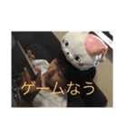 我らがみぞ君（個別スタンプ：3）