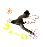 サスケのにゃんにゃんスタンプ（個別スタンプ：3）