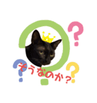 2代目ネロのスタンプ。（個別スタンプ：7）