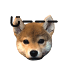 なになにリキタンなによ（個別スタンプ：2）