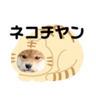 なになにリキタンなによ（個別スタンプ：8）