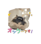 ノブ 1207（個別スタンプ：1）