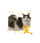 ノブ 1207（個別スタンプ：5）