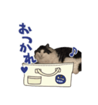 ノブ 1207（個別スタンプ：7）