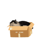 ノブ 1207（個別スタンプ：8）