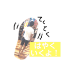 山下夫婦のスタンプ（個別スタンプ：25）