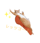 よしお3（個別スタンプ：7）