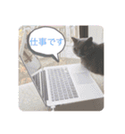 シャンティ＆モモ＆ラッキー（個別スタンプ：4）