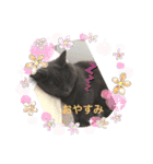 シャンティ＆モモ＆ラッキー（個別スタンプ：9）