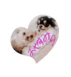 もこ♡ここ（個別スタンプ：1）