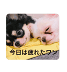 もこ♡ここ（個別スタンプ：3）