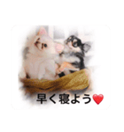 もこ♡ここ（個別スタンプ：4）