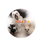 もこ♡ここ（個別スタンプ：5）