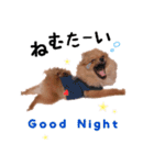 ポメラニアンあんずの日常（個別スタンプ：19）