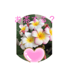 beachが好きな女子stamp（個別スタンプ：4）