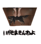 おしゃべり美音さん（個別スタンプ：2）