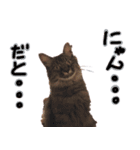 おしゃべり美音さん（個別スタンプ：6）