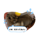 ちゃんはむはむ（個別スタンプ：8）