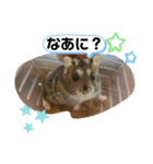 ちゃんはむはむ（個別スタンプ：14）