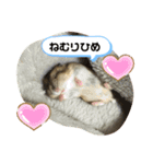 ちゃんはむはむ（個別スタンプ：15）
