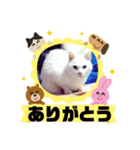 ランちゃんシリーズ（個別スタンプ：2）