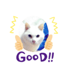 ランちゃんシリーズ（個別スタンプ：4）