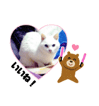 ランちゃんシリーズ（個別スタンプ：5）
